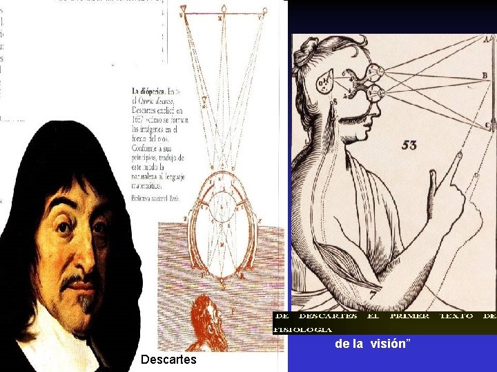 “ de la visión” Descartes 