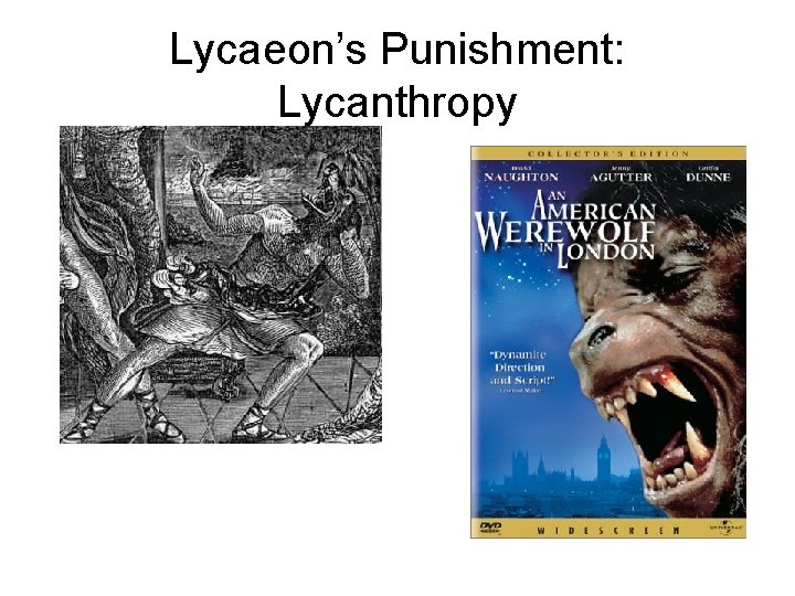 Lycaeon’s Punishment: Lycanthropy 