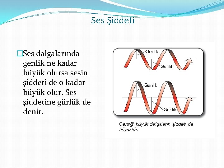 Ses Şiddeti �Ses dalgalarında genlik ne kadar büyük olursa sesin şiddeti de o kadar