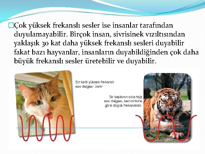 �Çok yüksek frekanslı sesler ise insanlar tarafından duyulamayabilir. Birçok insan, sivrisinek vızıltısından yaklaşık 30