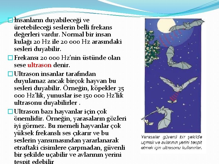 �İnsanların duyabileceği ve üretebileceği seslerin belli frekans değerleri vardır. Normal bir insan kulağı 20