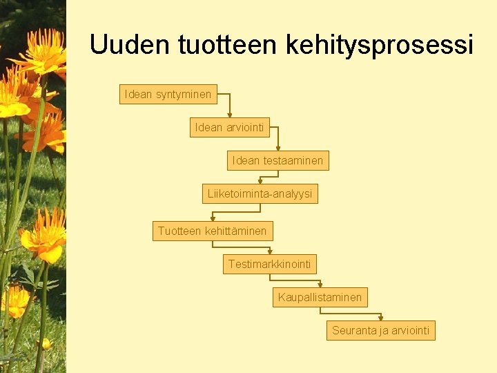 Uuden tuotteen kehitysprosessi Idean syntyminen Idean arviointi Idean testaaminen Liiketoiminta-analyysi Tuotteen kehittäminen Testimarkkinointi Kaupallistaminen