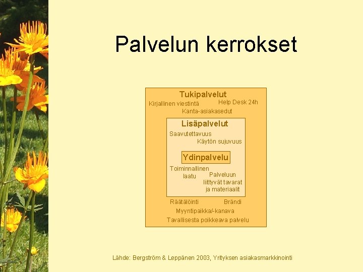 Palvelun kerrokset Tukipalvelut Help Desk 24 h Kirjallinen viestintä Kanta-asiakasedut Lisäpalvelut Saavutettavuus Käytön sujuvuus