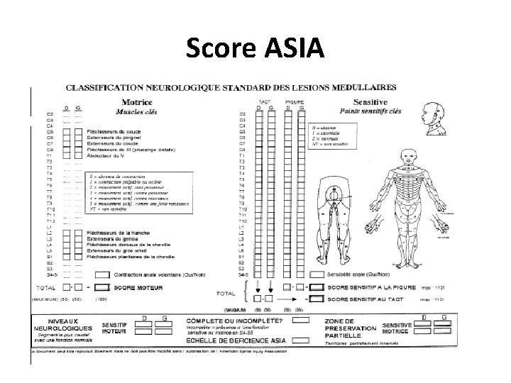 Score ASIA 