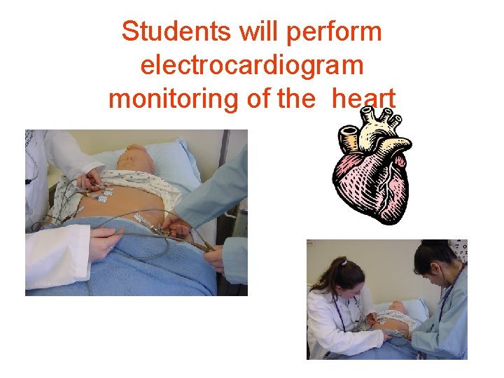 Students will perform electrocardiogram monitoring of the heart 