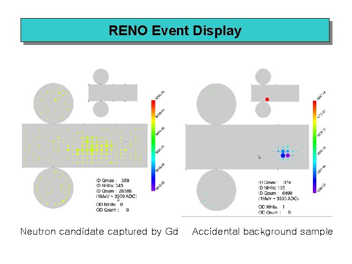 RENO Event Display Neutron candidate captured by Gd Accidental background sample 