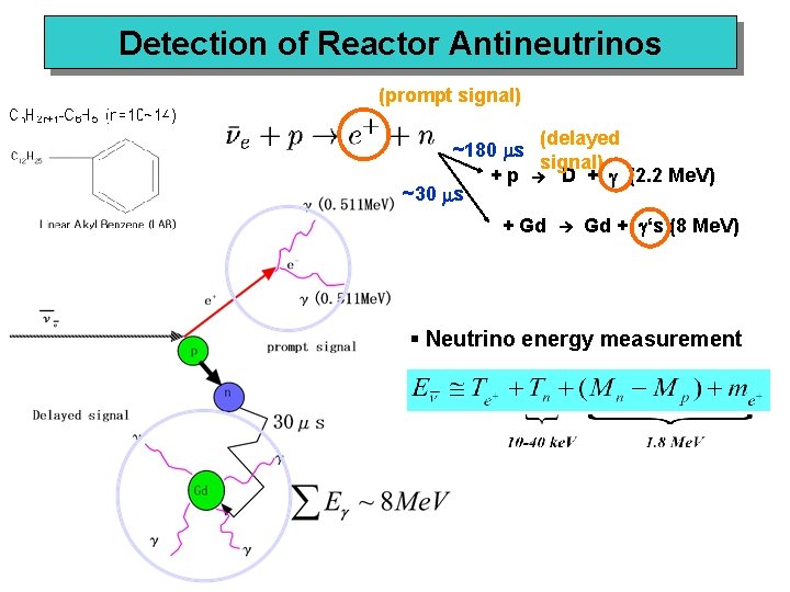 Detection of Reactor Antineutrinos (prompt signal) (delayed ~180 ms signal) + p D +