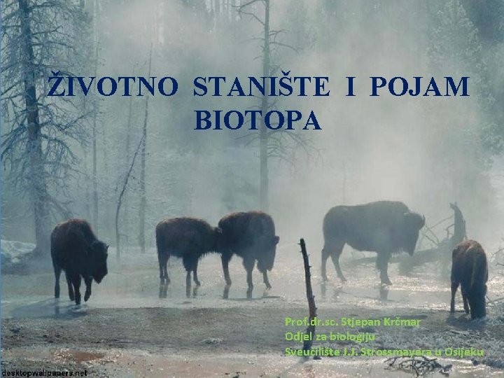 ŽIVOTNO STANIŠTE I POJAM BIOTOPA Prof. dr. sc. Stjepan Krčmar Odjel za biologiju Sveučilište