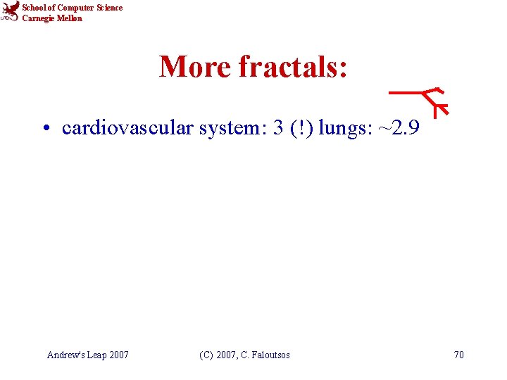 School of Computer Science Carnegie Mellon More fractals: • cardiovascular system: 3 (!) lungs: