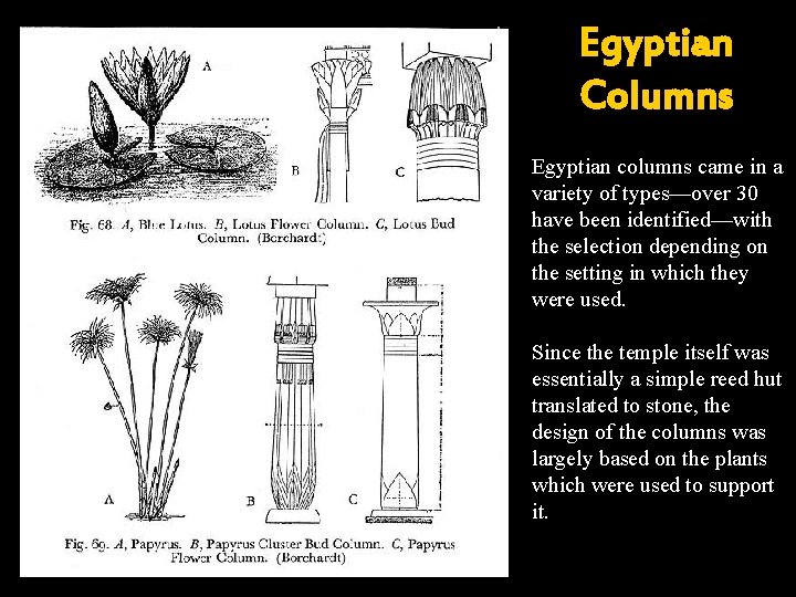 Egyptian Columns Egyptian columns came in a variety of types—over 30 have been identified—with