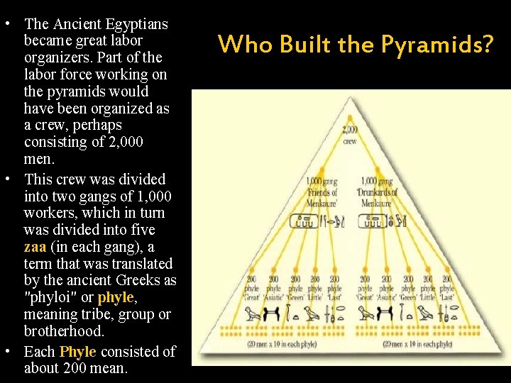  • The Ancient Egyptians became great labor organizers. Part of the labor force