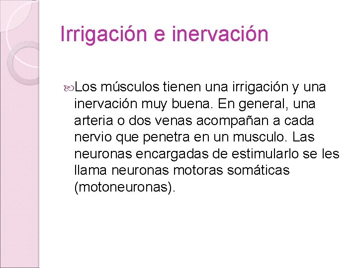 Irrigación e inervación Los músculos tienen una irrigación y una inervación muy buena. En