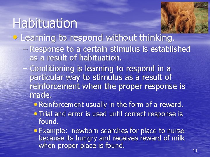 Habituation • Learning to respond without thinking. – Response to a certain stimulus is