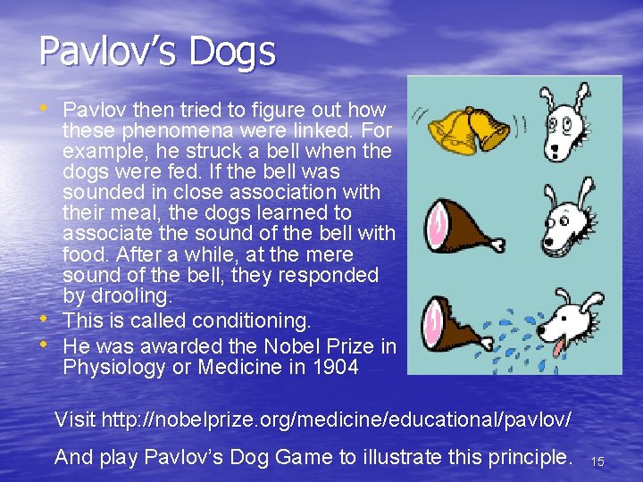 Pavlov’s Dogs • Pavlov then tried to figure out how • • these phenomena