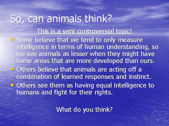 So, can animals think? • • • This is a very controversial topic! Some