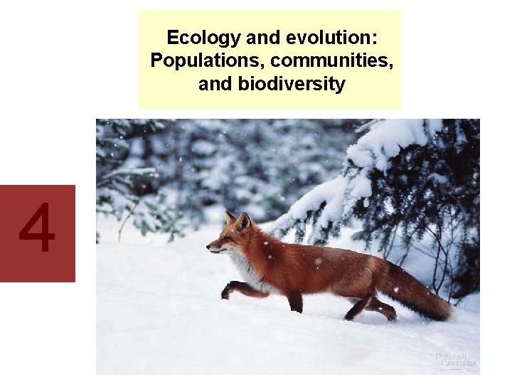 Ecology and evolution: Populations, communities, and biodiversity 4 