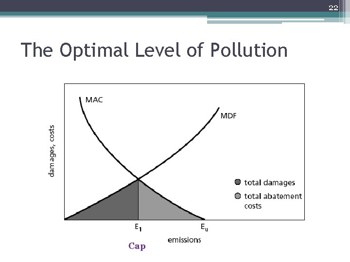 22 The Optimal Level of Pollution Cap 