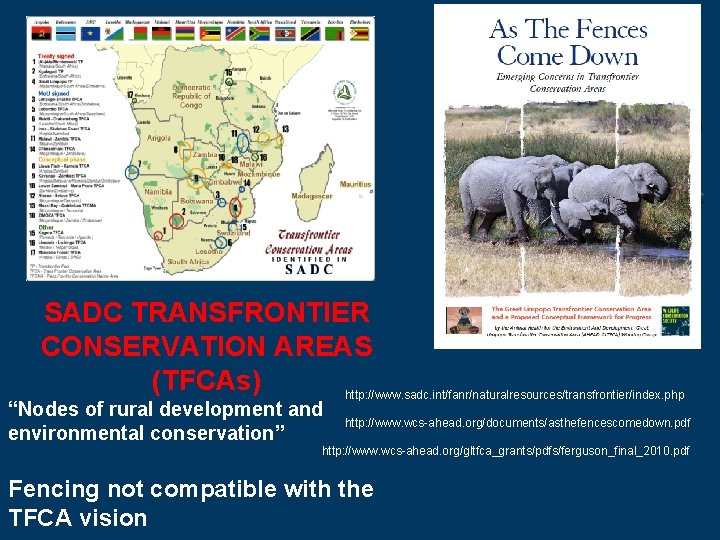 SADC TRANSFRONTIER CONSERVATION AREAS (TFCAs) http: //www. sadc. int/fanr/naturalresources/transfrontier/index. php “Nodes of rural development