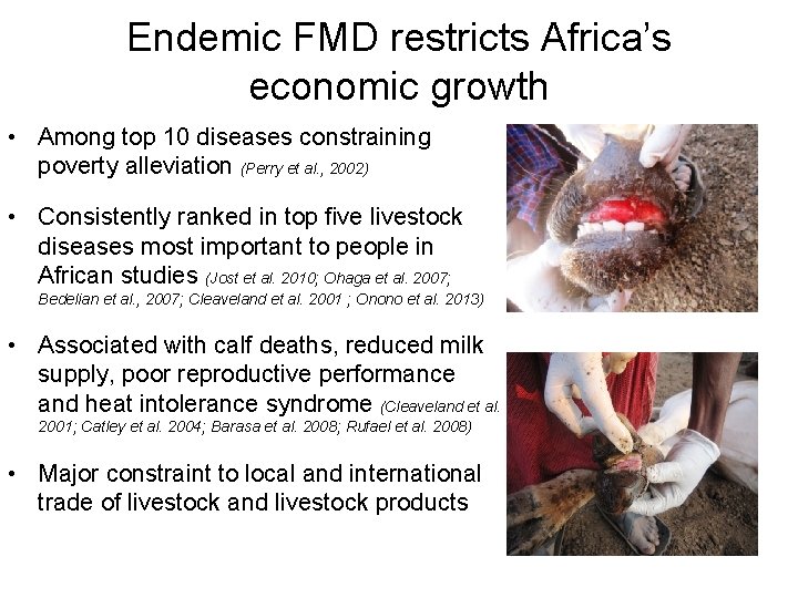 Endemic FMD restricts Africa’s economic growth • Among top 10 diseases constraining poverty alleviation
