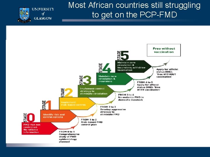 Most African countries still struggling to get on the PCP-FMD 