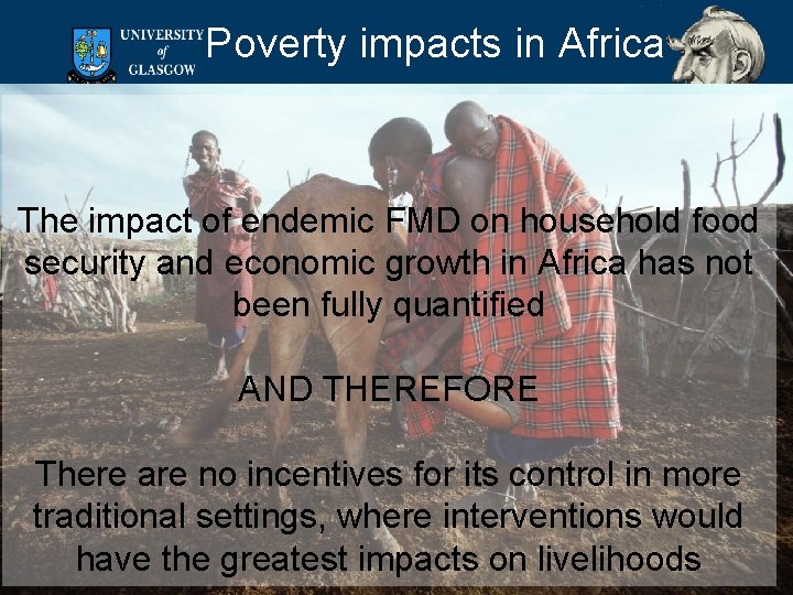 Poverty impacts in Africa The impact of endemic FMD on household food security and