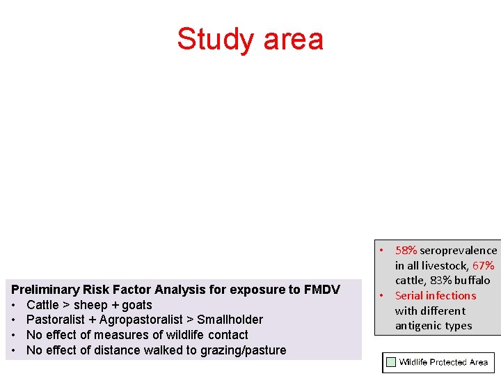 Study area Preliminary Risk Factor Analysis for exposure to FMDV • Cattle > sheep