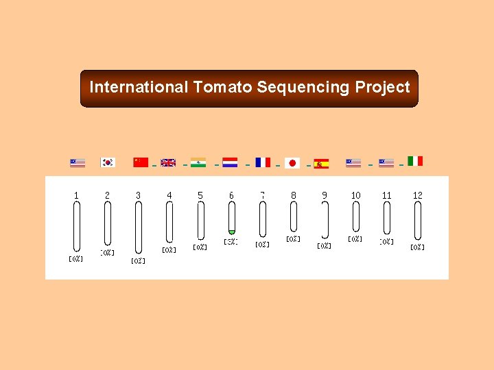 International Tomato Sequencing Project 
