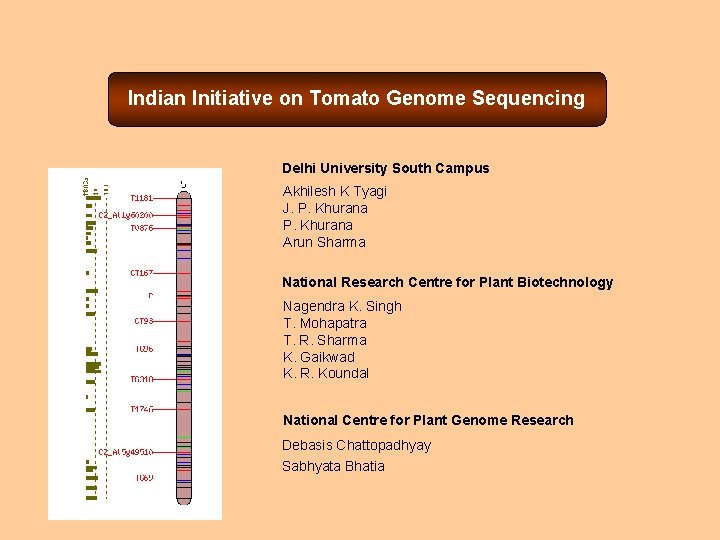Indian Initiative on Tomato Genome Sequencing Delhi University South Campus Akhilesh K Tyagi J.