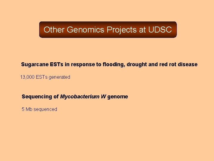 Other Genomics Projects at UDSC Sugarcane ESTs in response to flooding, drought and red