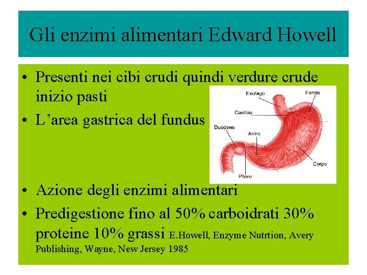 Gli enzimi alimentari Edward Howell • Presenti nei cibi crudi quindi verdure crude inizio