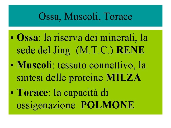 Ossa, Muscoli, Torace • Ossa: la riserva dei minerali, la sede del Jing (M.