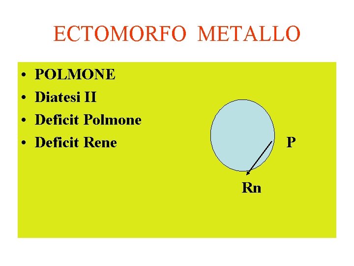 ECTOMORFO METALLO • • POLMONE Diatesi II Deficit Polmone Deficit Rene P Rn 