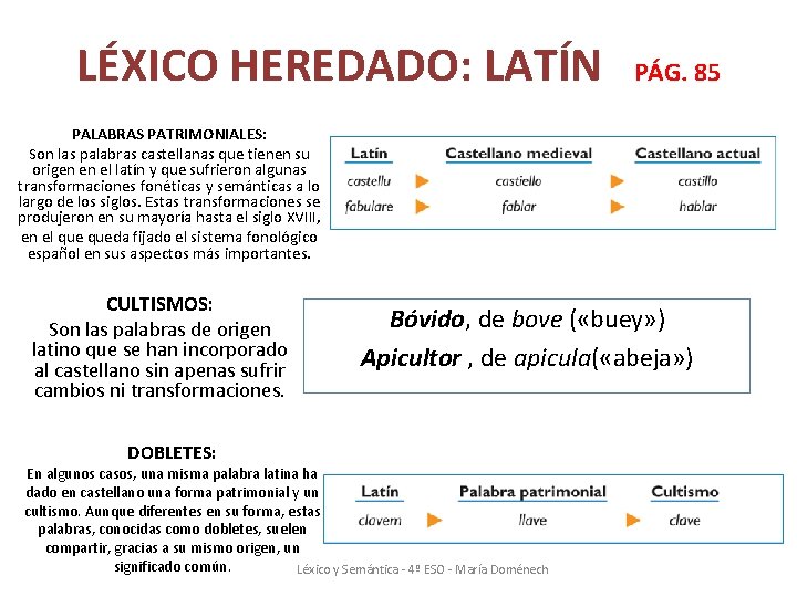 LÉXICO HEREDADO: LATÍN PÁG. 85 PALABRAS PATRIMONIALES: Son las palabras castellanas que tienen su LÉXICO HEREDADO: LATÍN PÁG. 85 PALABRAS PATRIMONIALES: Son las palabras castellanas que tienen su