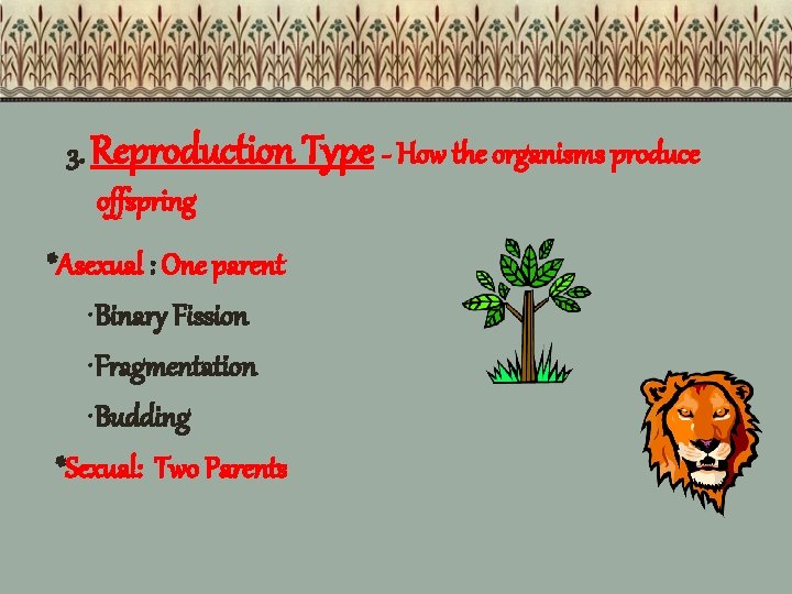 3. Reproduction Type - How the organisms produce offspring *Asexual : One parent •