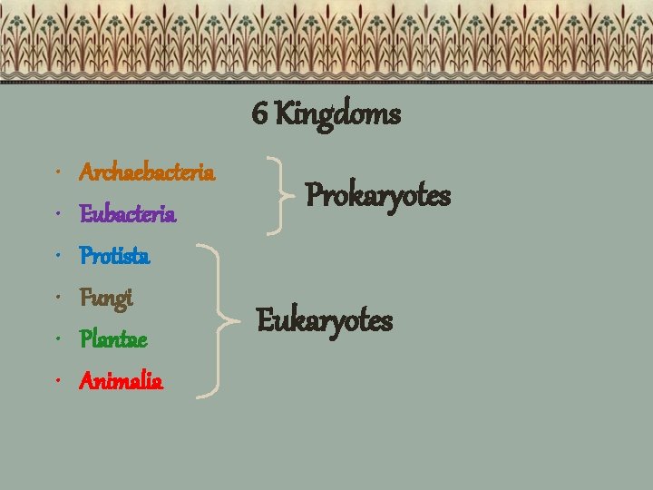 6 Kingdoms • • • Archaebacteria Eubacteria Protista Fungi Plantae Animalia Prokaryotes Eukaryotes 