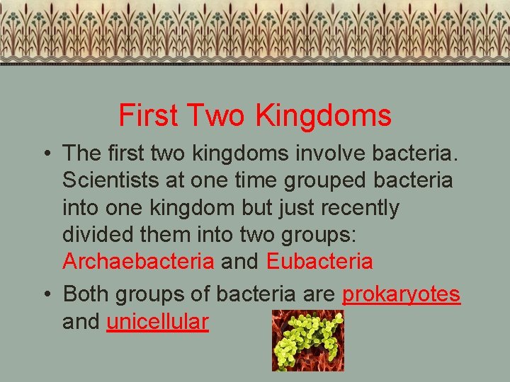 First Two Kingdoms • The first two kingdoms involve bacteria. Scientists at one time