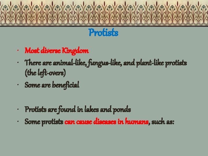 Protists • Most diverse Kingdom • There animal-like, fungus-like, and plant-like protists (the left-overs)