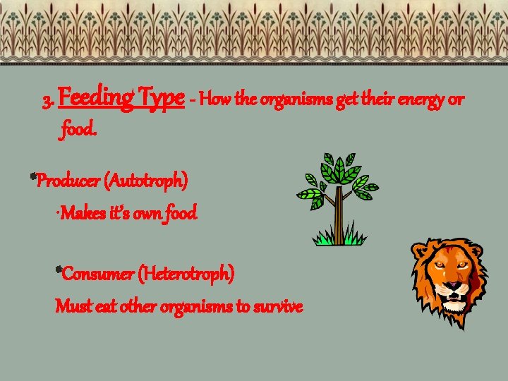 3. Feeding Type - How the organisms get their energy 0 r food. *Producer