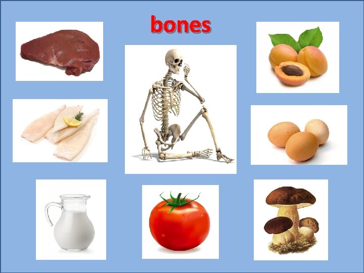 bones 