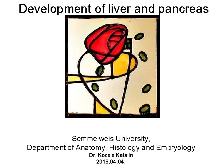 Development of liver and pancreas Semmelweis University, Department of Anatomy, Histology and Embryology Dr.