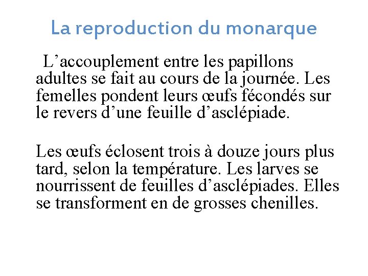 La reproduction du monarque L’accouplement entre les papillons adultes se fait au cours de