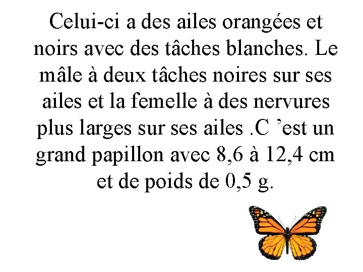 Celui-ci a des ailes orangées et noirs avec des tâches blanches. Le mâle à