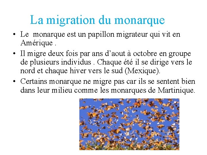 La migration du monarque • Le monarque est un papillon migrateur qui vit en