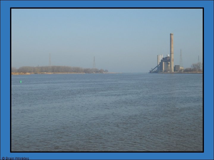 © Brain Wrinkles © Brain Wrinkles