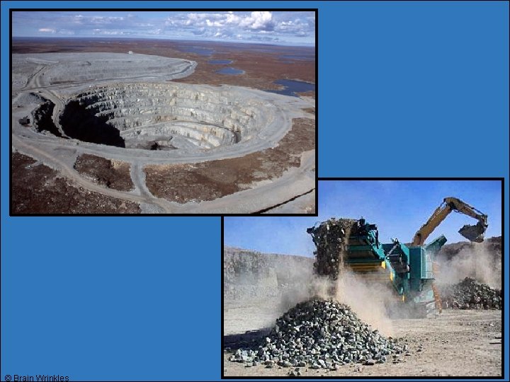 © Brain Wrinkles © Brain Wrinkles