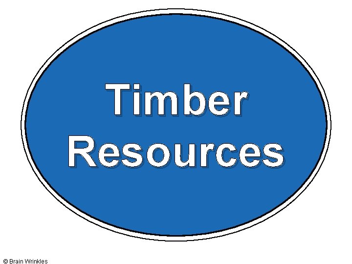 Timber Resources © Brain Wrinkles Timber Resources © Brain Wrinkles