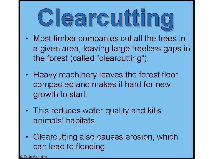 Clearcutting • Most timber companies cut all the trees in a given area, leaving Clearcutting • Most timber companies cut all the trees in a given area, leaving