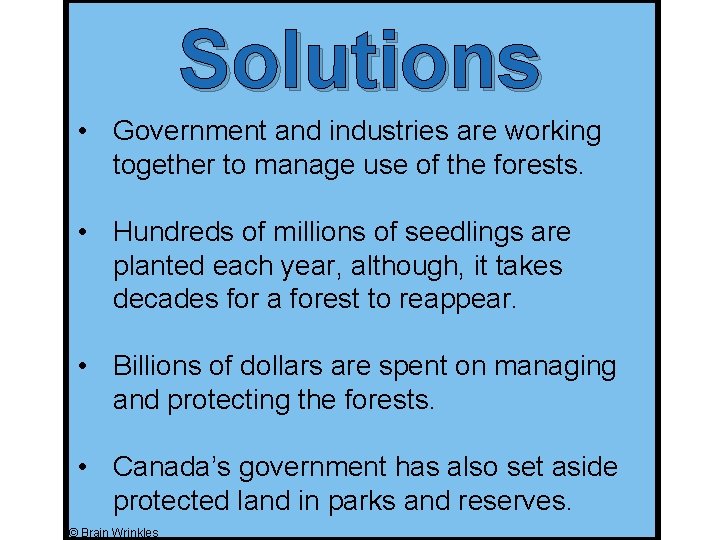 Solutions • Government and industries are working together to manage use of the forests. Solutions • Government and industries are working together to manage use of the forests.
