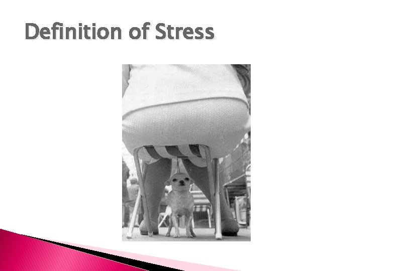 Definition of Stress Definition of Stress