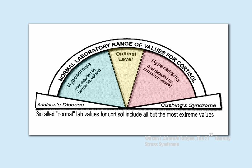 Wilson J. Adrenal Fatigue, The 21 Stress Syndrome st Century 